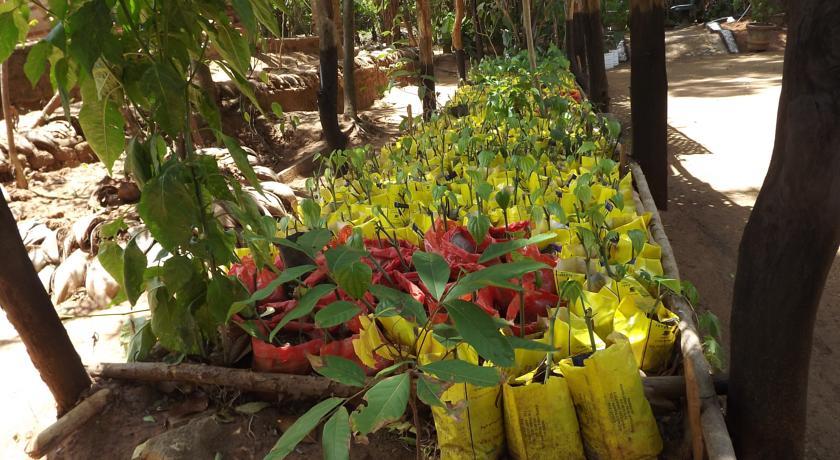 Heritage Walawa Resort Udawalawe Bagian luar foto